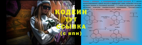 индика Абаза