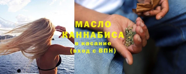 индика Абаза