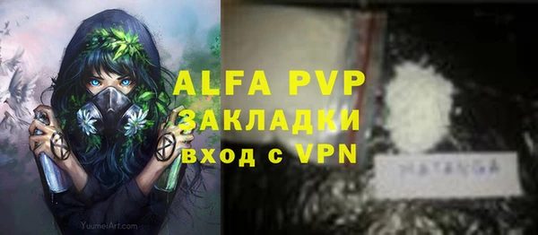 индика Абаза