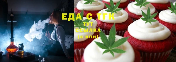 индика Абаза