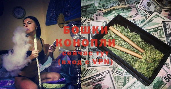 шишки Нягань