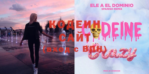 индика Абаза