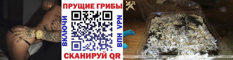 Галлюциногенные грибы прущие грибы  Хилок 